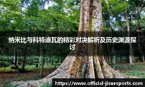 纳米比与科特迪瓦的精彩对决解析及历史渊源探讨